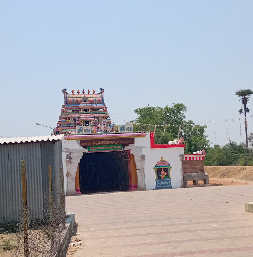 திருவேங்கைவாசல் வியாக்ரபுரீஸ்வரர் திருக்கோயில், புதுக்கோட்டை