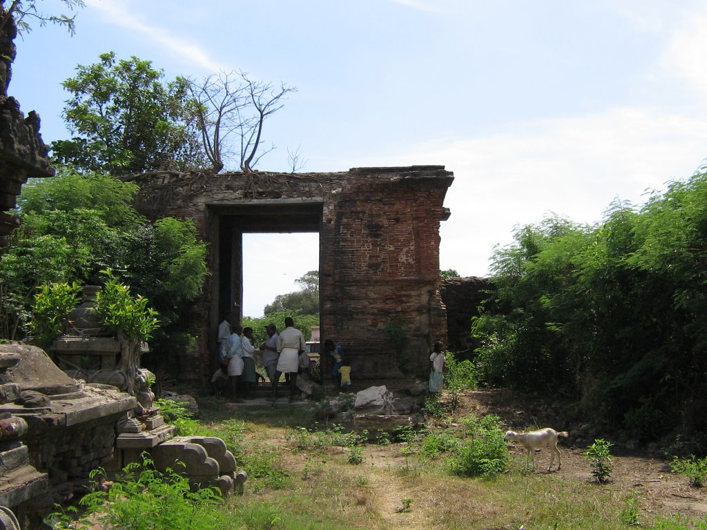அருள்மிகு ஆதி நாராயணப்பெருமாள் திருக்கோயில், புலிகாட்