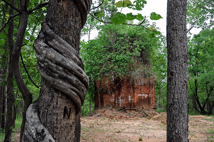 பிரசாத் சாம்ரேஸ் (சாம்ரே) – கம்போடியா