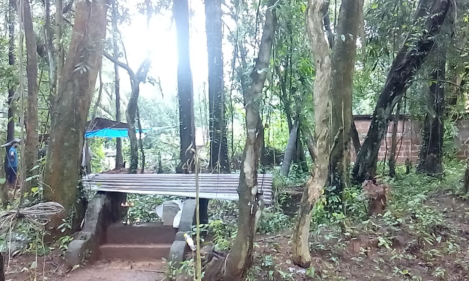 அம்பலம்பரம்பு மகாவிஷ்ணு கோயில், கேரளா