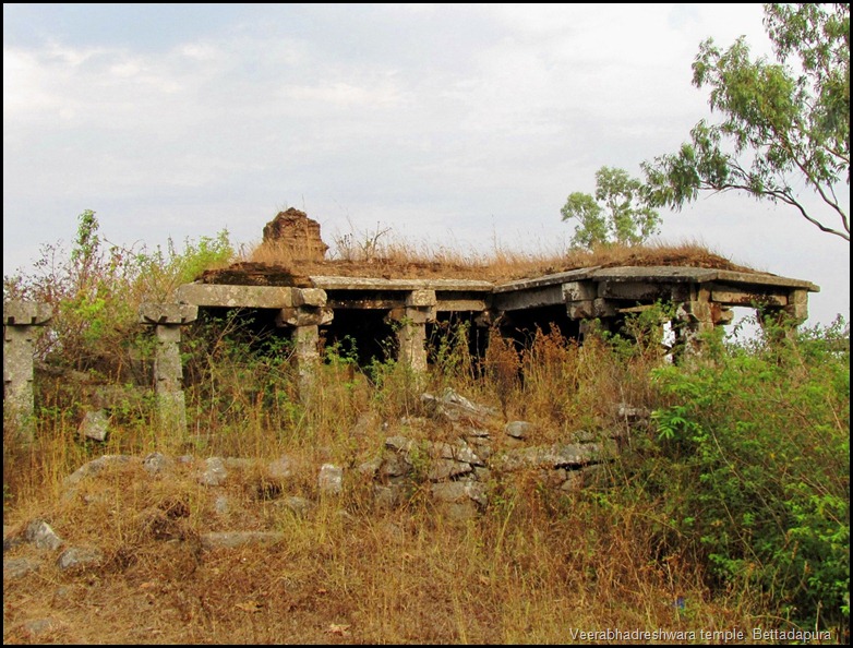 பெட்டாடபுரா வீரபத்ரா கோயில், கர்நாடகா