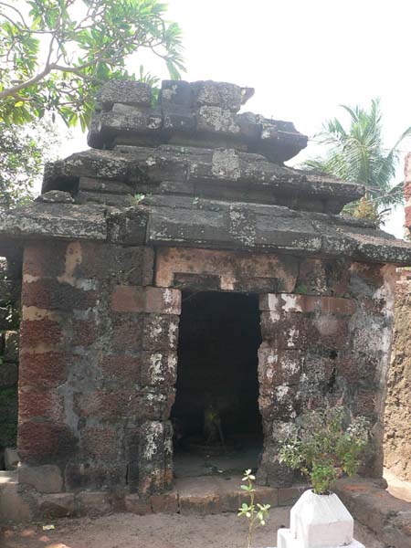 புவனேஸ்வரர் புருகுதேஸ்வரர் சிவன் கோயில், ஒடிசா