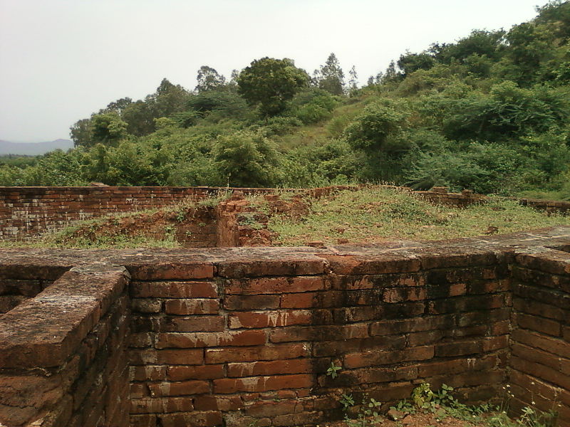 கொட்டுரு தன திபாலு, ஆந்திரப்பிரதேசம்