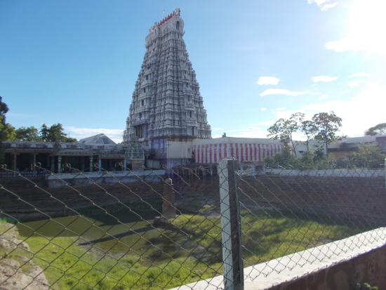 மடவார்வளாகம் வைத்தியநாதசுவாமி திருக்கோயில், விருதுநகர்
