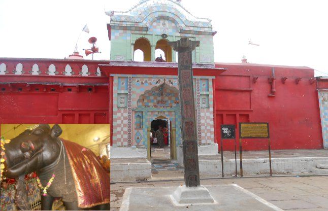 மஜோலி விஷ்ணு வராஹர் கோவில், மத்தியப் பிரதேசம்