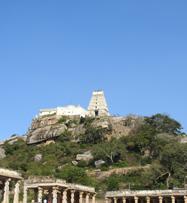 மேல்கோட்டை யோக நரசிம்மர் கோவில், கர்நாடகா