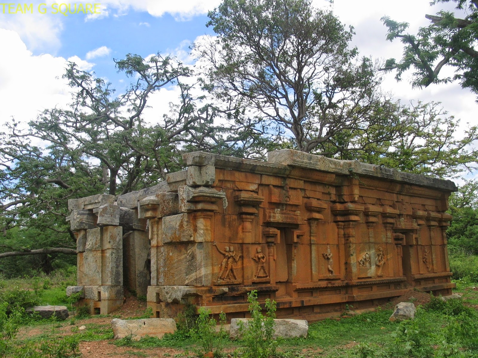 நல்லூர் ஸ்ரீ கோபாலசாமி கோயில், கர்நாடகா