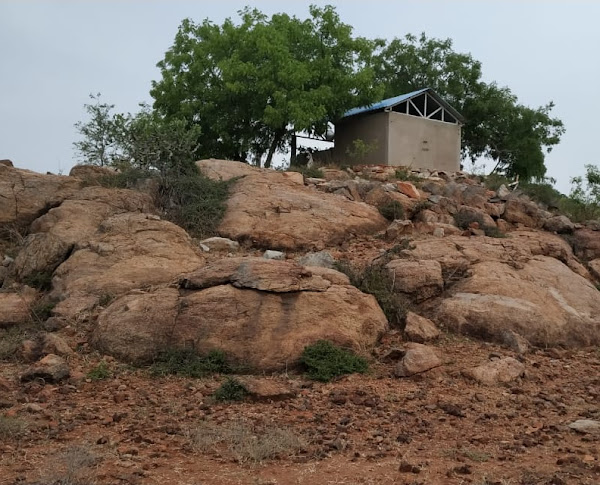நெற்குணப்பட்டு சிவன் கோயில், காஞ்சிபுரம்
