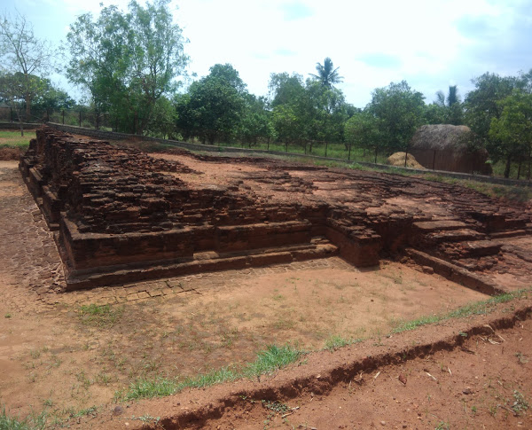 பெடவேகி புத்த தளம், ஆந்திரப்பிரதேசம்