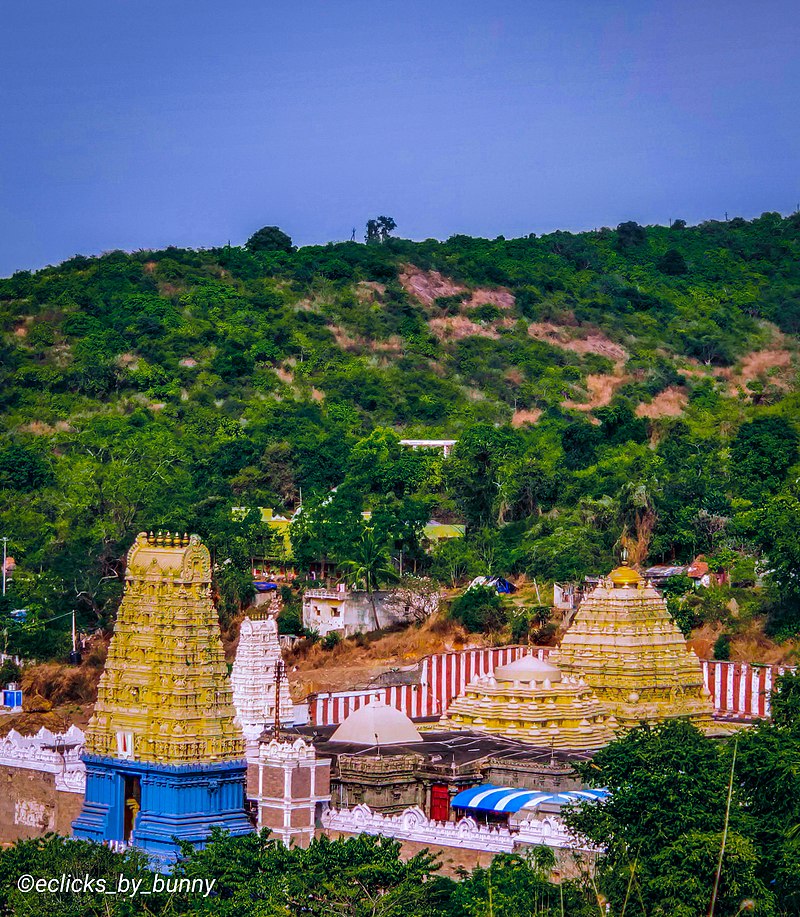 சிம்மாச்சலம் ஸ்ரீ வராக லக்ஷ்மி நரசிம்மர் கோவில், ஆந்திரப்பிரதேசம்