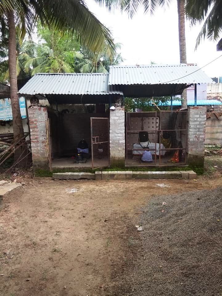 ஆவணியாபுரம் சுந்தரேஸ்வரர்  சிவன்கோயில், தஞ்சாவூர்