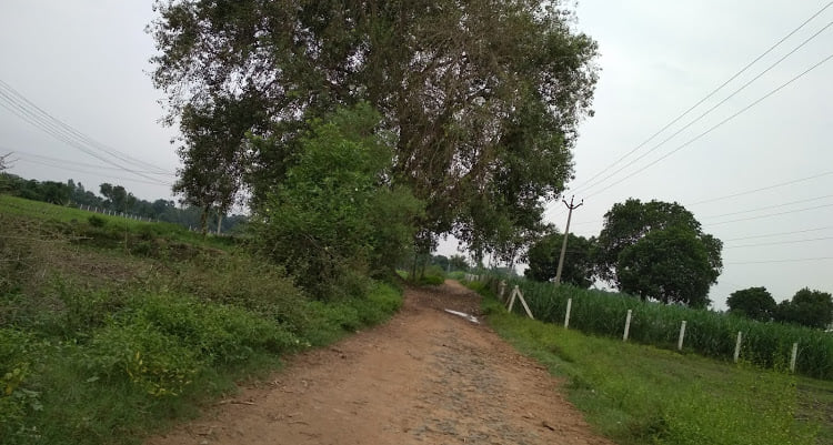 சிவநந்திபுரம் சிவன்கோயில்