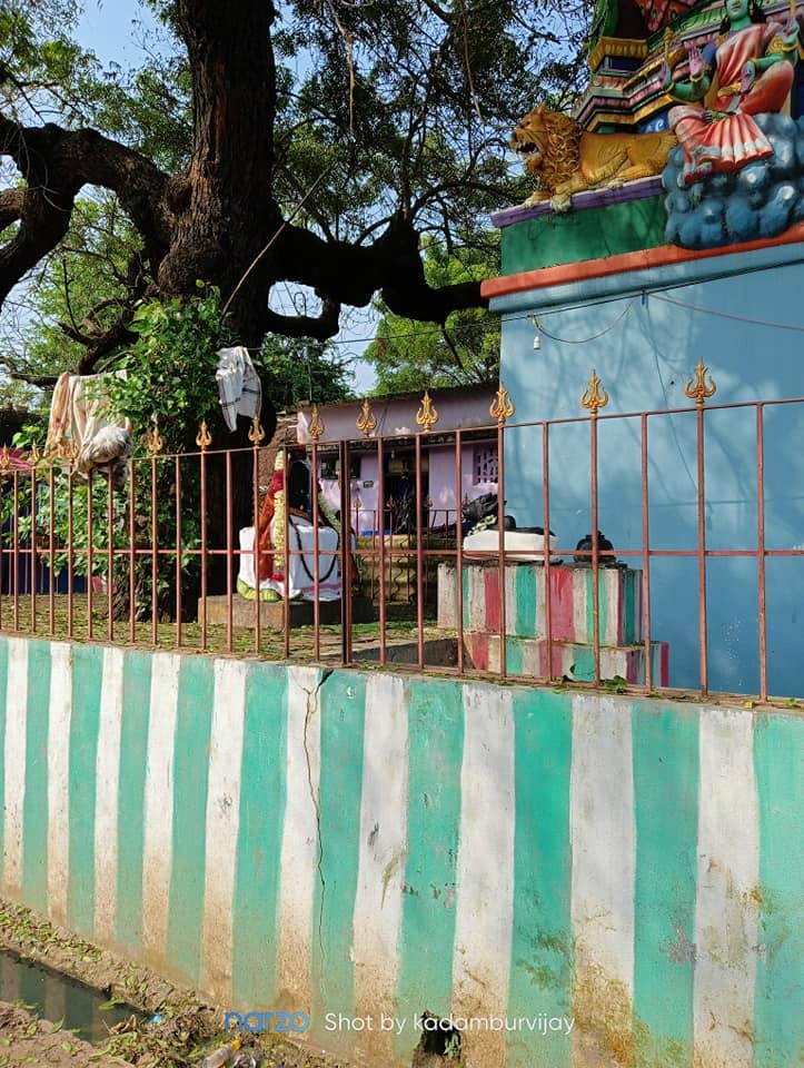 வயலூர் முத்துமாரியம்மன் கோயில் சிவனார், கடலூர்