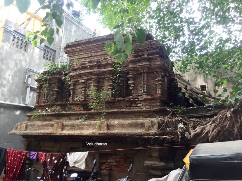 வேளச்சேரி ஸ்ரீ வாசுதேவ பெருமாள் கோயில், சென்னை