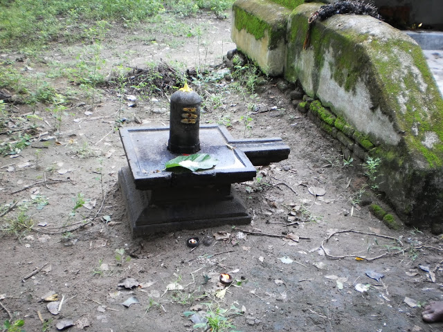 அம்மையப்பநல்லூர்  சிவன்கோயில், காஞ்சிபுரம்