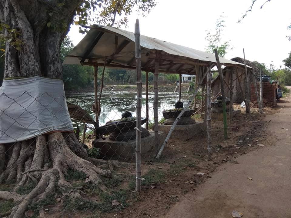 காங்கேய நகரம் சிவன்கோயில், திருவாரூர்