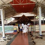 கண்ணூர் திருவர்க்காடு ஸ்ரீ பகவதி திருக்கோயில் (மடாயிக்காவு), கேரளா