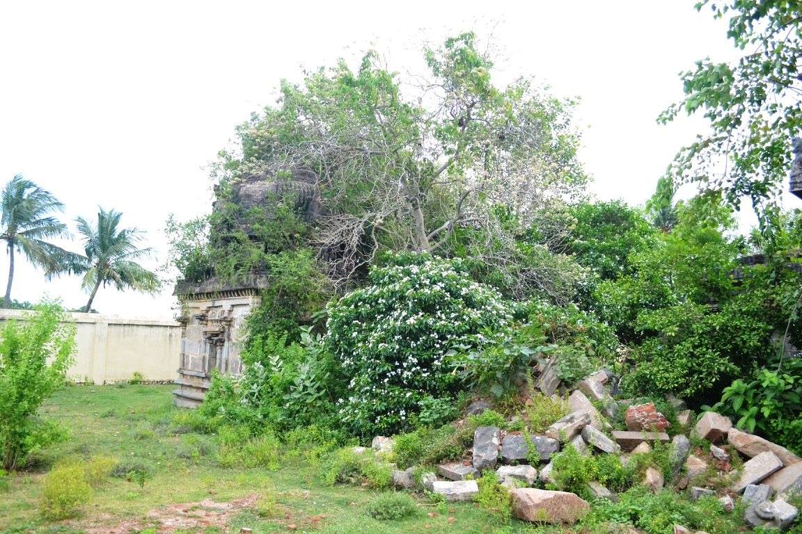 சாத்தங்குடி விசுவநாத சுவாமி சிவன் கோயில், மயிலாடுதுறை