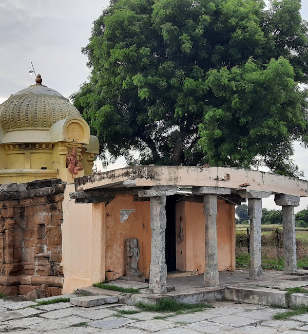 தக்கோலம் திருவாலீஸ்வரர் திருக்கோயில், வேலூர்