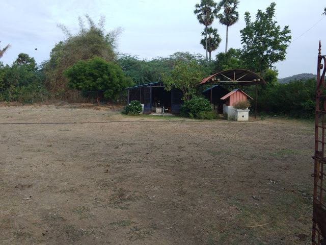 Tandarai Thirumeniswarar Shiva Temple, Kanchipuram