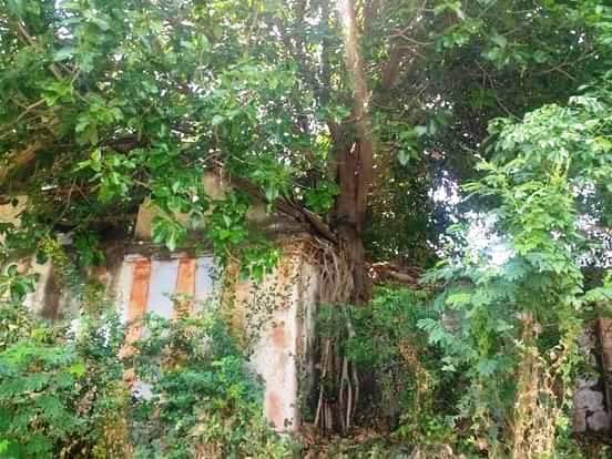 தாராபுரம் சிவன்கோயில், திருப்பூர்