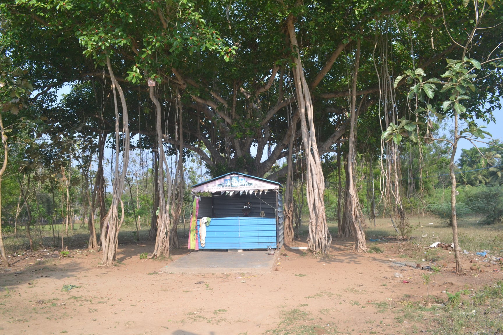 மாடாகுடி ஆத்மநாதர் சிவன்கோயில், தஞ்சாவூர்