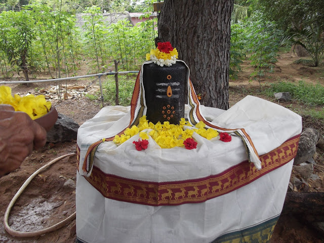 Veppancheri Shiva Temple, Kanchipuram