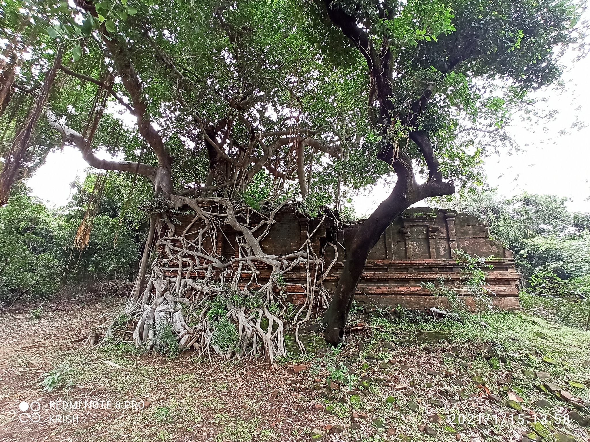 ஸ்ரீராமர் பாதம் கோவில், நாகப்பட்டினம்